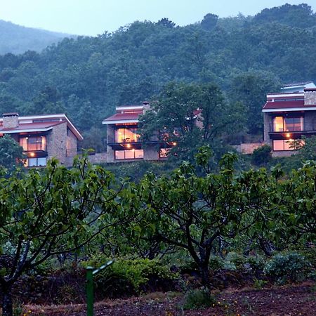 Las Casas De Agapito Poyales Del Hoyo Eksteriør billede